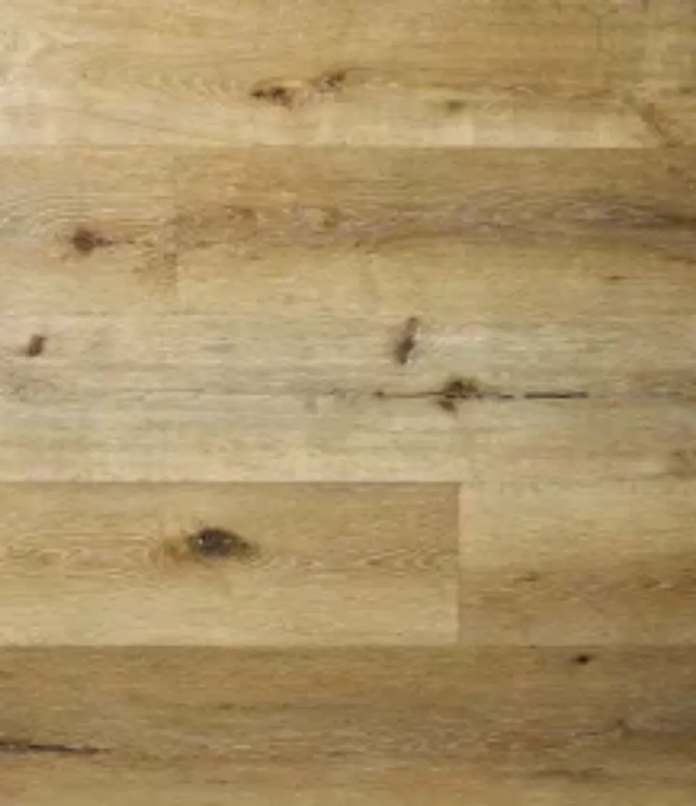 Picture of Sycamore