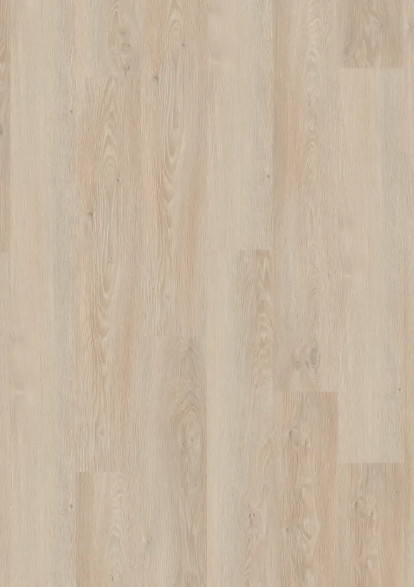 Picture of Essence 55 Cool Oak Light Beige
