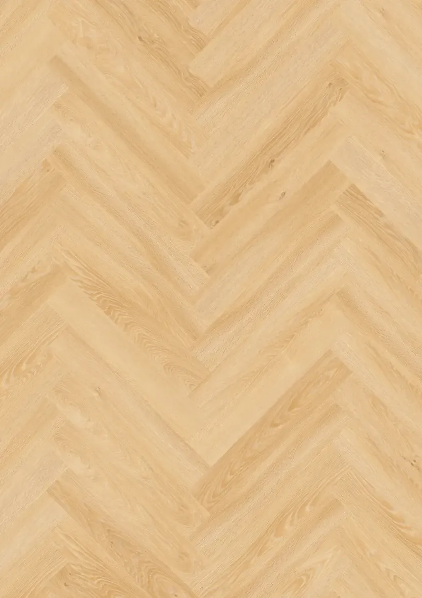 260060001