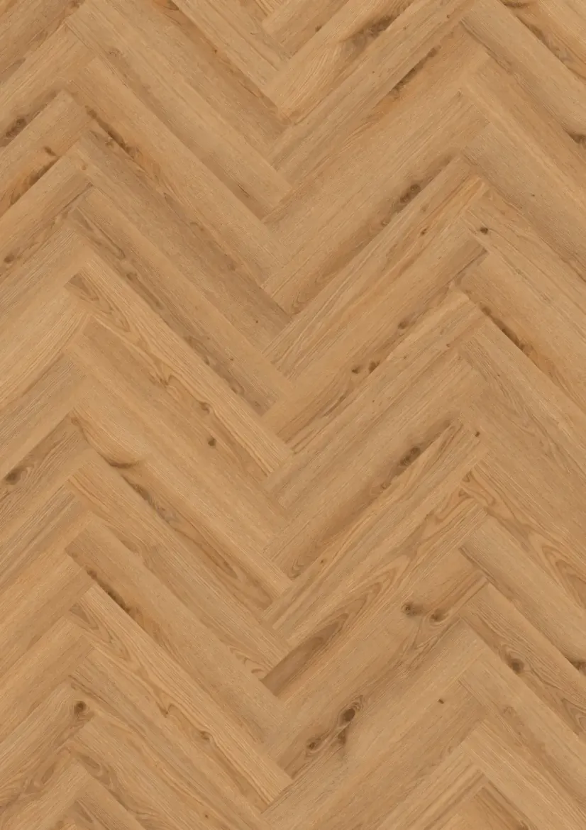 260060004