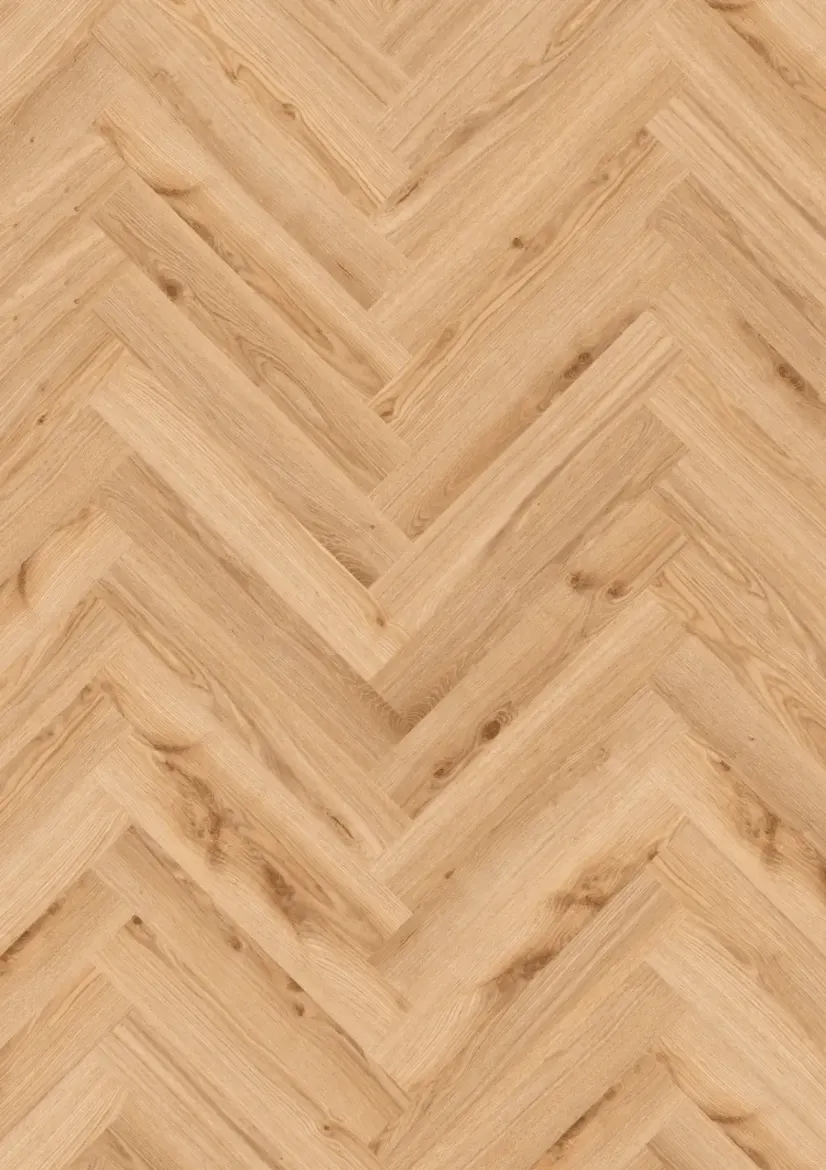 260060005