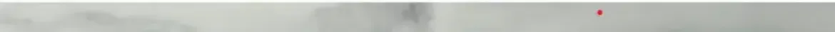 Picture of Carrara White