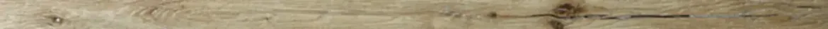 Picture of Sycamore